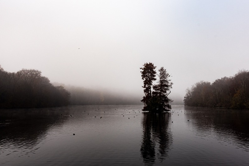 CHANTILLY - FOREST 2