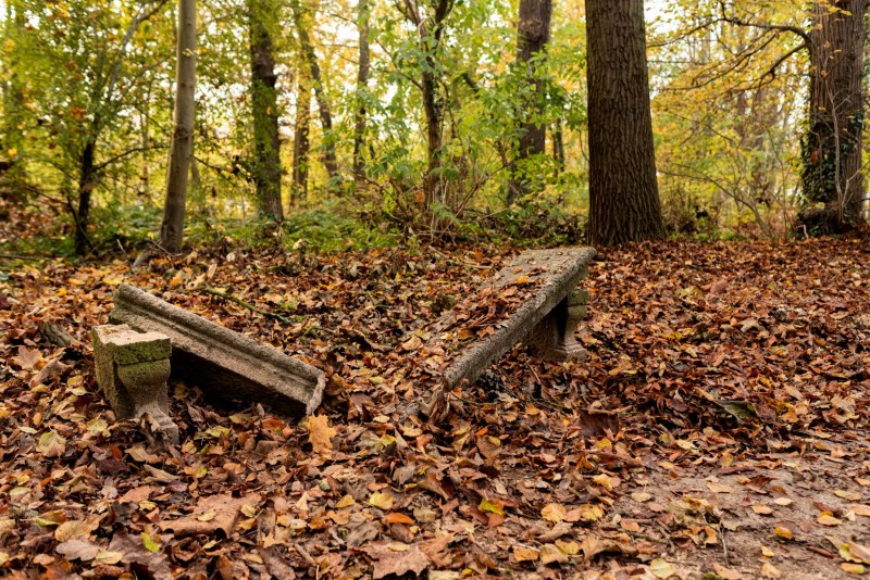 CHANTILLY - FOREST 6