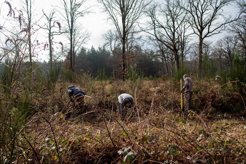 CHANTILLY - FOREST 8