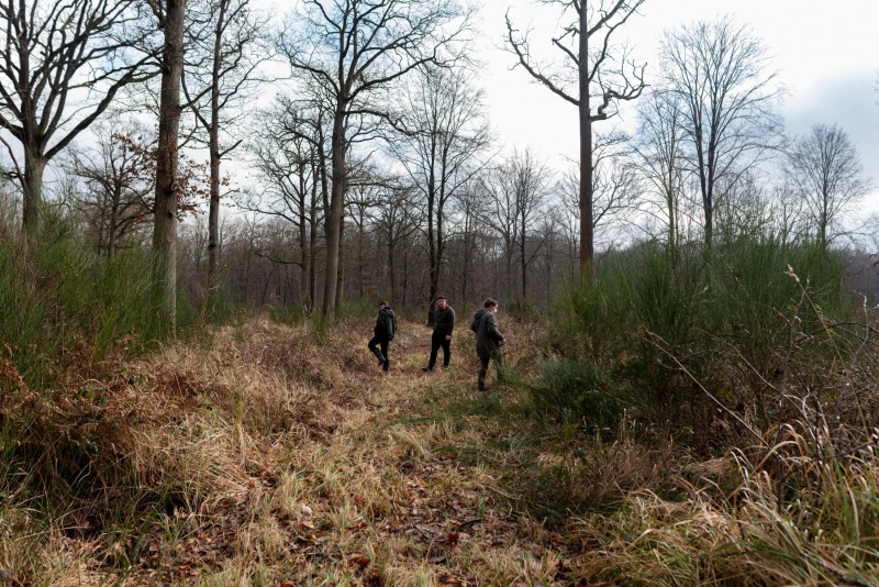 CHANTILLY - FOREST 9