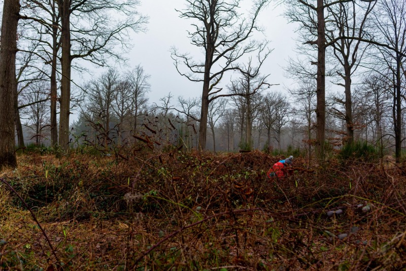 CHANTILLY - FOREST 12