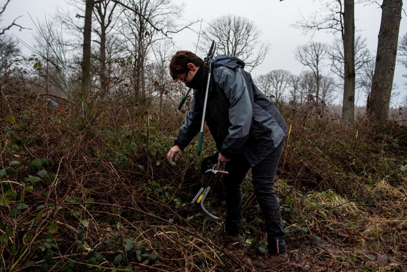 CHANTILLY - FOREST 13