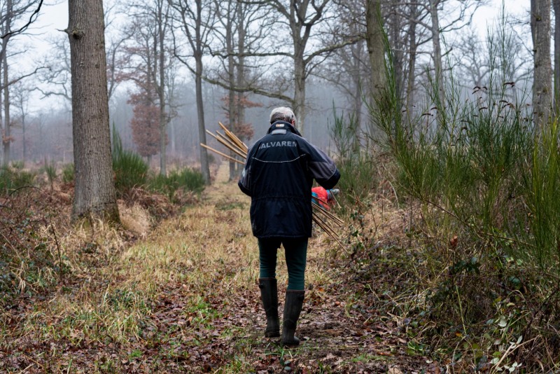 CHANTILLY - FOREST 1