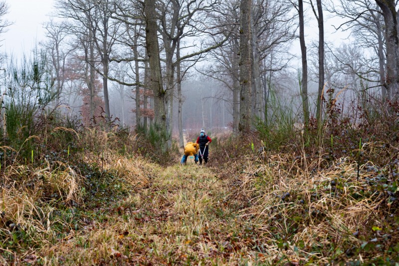 CHANTILLY - FOREST 14