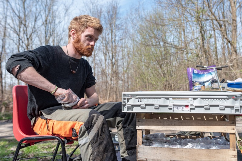 CHANTILLY - FOREST 15