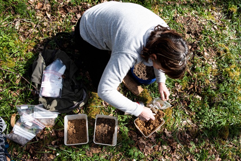 CHANTILLY - FOREST 16