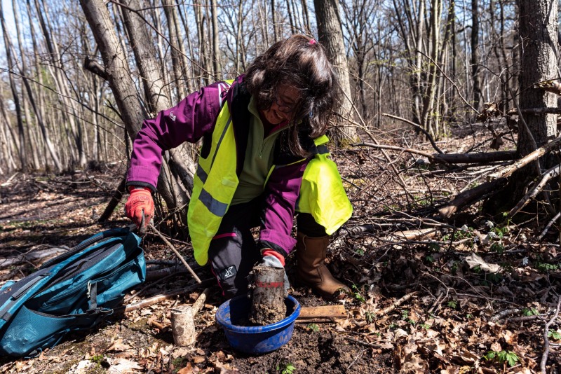 CHANTILLY - FOREST 19