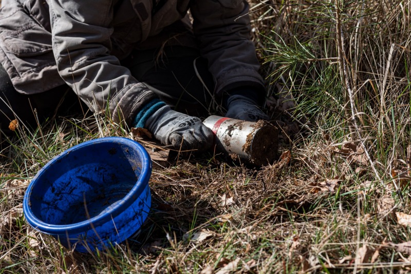 CHANTILLY - FOREST 22