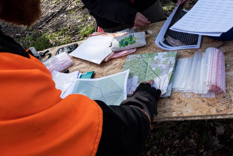 CHANTILLY - FOREST 13